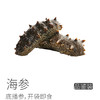极客海参品鉴装（即食鲜参/干海参）丨鲜食高压海参，肉厚劲道自带鲜味丨独立包装，开袋即食，详情页里有我们对海参的认知，请一定阅读完。⭐️顺丰快递 商品缩略图8