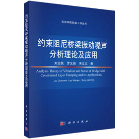 约束阻尼桥梁振动噪声分析理论及应用