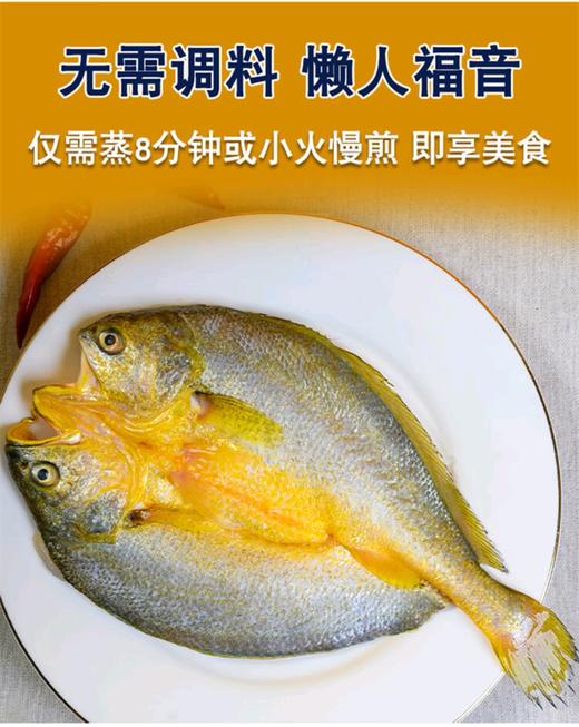 鲜到鲜得速冻锁鲜开背大黄鱼400g*3条去鳞去鳃去内脏 商品图5