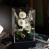 【鲜花制作❗️送人佳品】GLORIOUS永生花蒲公英成品热卖情人节礼物闺蜜伴手礼礼物。jd 商品缩略图3