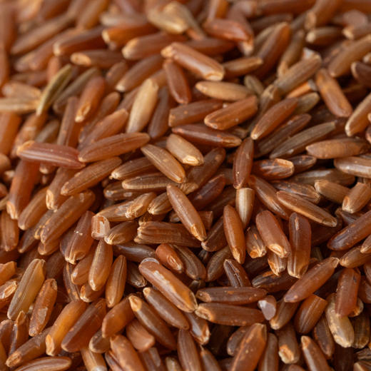 有机杂粮系列丨有机红米，有机黑米，有机糯米，有机燕麦米，有机荞麦米，有机高粱米，源自东北黑土地的五谷杂粮，可煮粥，煮饭，打米糊，⭐️中通/德邦快递 商品图2