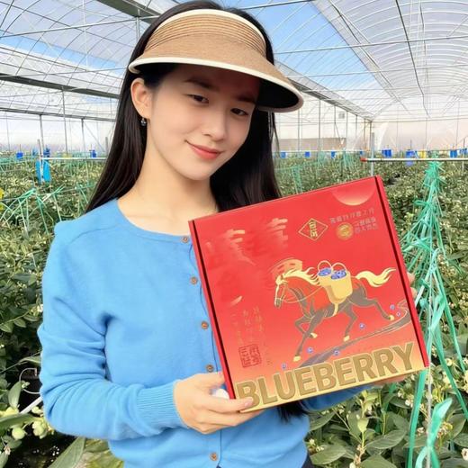 云南“育溪”L25花香蓝莓 马年特供礼盒装 1kg  精选新鲜水果顺丰特快包邮当季优质直发 商品图8