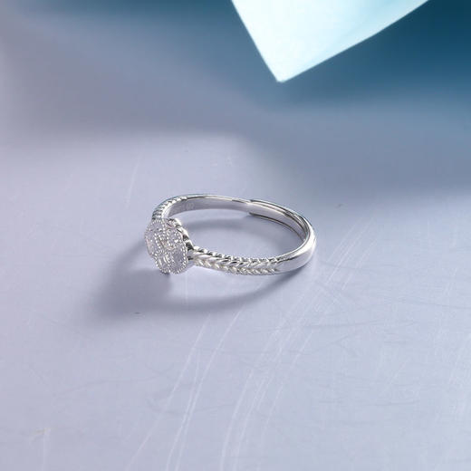 【宏艺珠宝】如意顺意·银s925戒指 商品图1