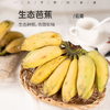 生态芭蕉丨生态种植，个头小有籽，香甜软糯，回味微酸，层次感丰富，需要自行催熟，成熟后出现黄斑、黑斑等属于正常现象，黑斑越多成熟度越高越好吃，⭐️顺丰陆运 商品缩略图0