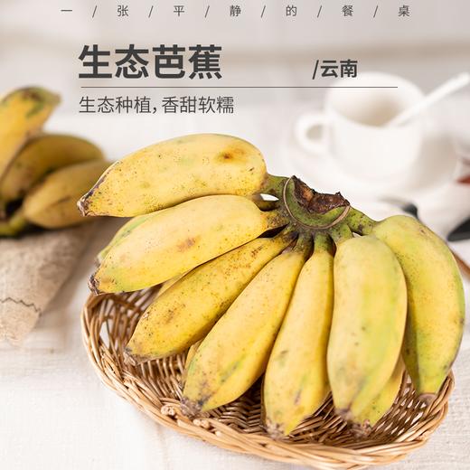 生态芭蕉丨生态种植，个头小有籽，香甜软糯，回味微酸，层次感丰富，需要自行催熟，成熟后出现黄斑、黑斑等属于正常现象，黑斑越多成熟度越高越好吃，⭐️顺丰陆运 商品图0