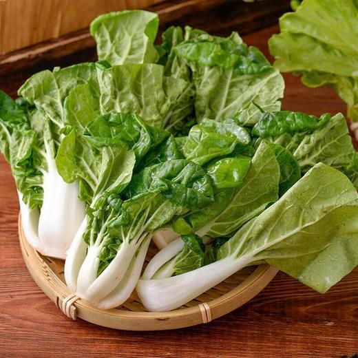 有机奶白菜 250g/袋 商品图4