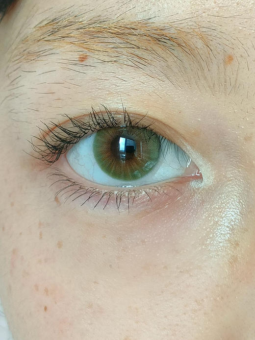 Tomdoll 榛木褐 半年抛 两片 14.0mm 参考着色 13.2mm 基弧 8.6 含水 38.5% 新锐国货 商品图2