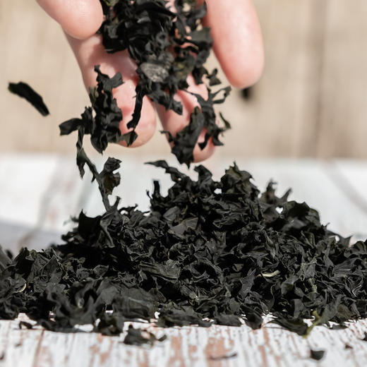 淡干裙带菜丨温水泡制 5-10分钟即可烹饪 ⭐️顺丰/京东随机发 商品图1