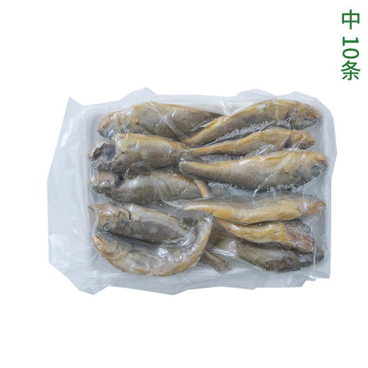 【4份包邮】小黄花鱼500g 渤海湾深海野生捕捞，跟养殖的大黄花鱼不一样⭐️顺丰快递 商品图7