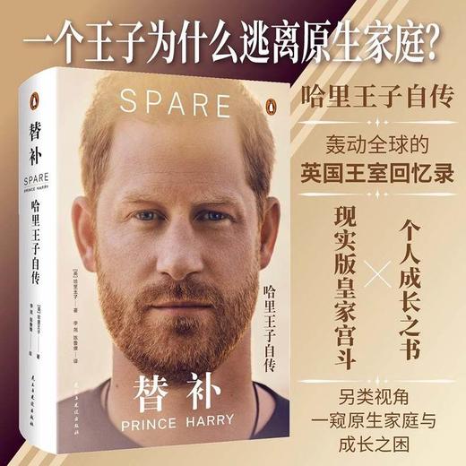 《替补：哈里王子自传》 商品图0