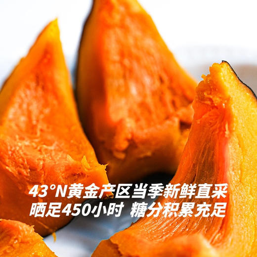 田里有草南瓜单个装 商品图3