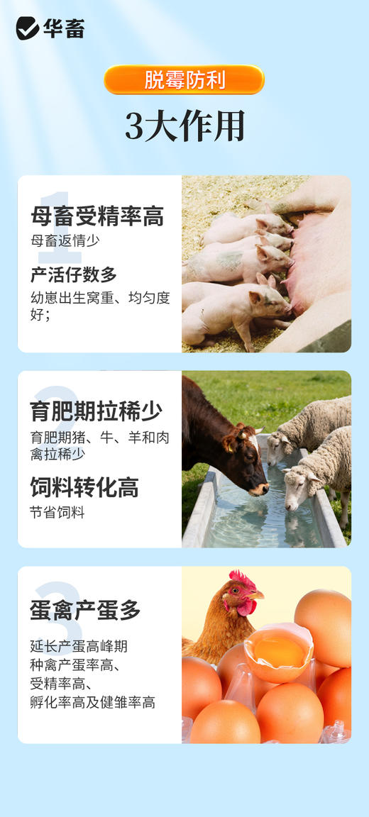 脱霉防利40斤 阻断毒素吸收修复肠道损伤 商品图5