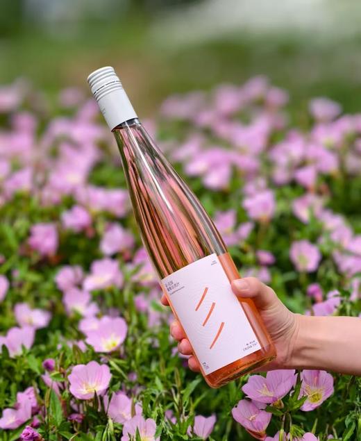 云南自流汁葡萄汁丨采用鲜食葡萄制作而成的葡萄汁，无酒精、无防腐剂，酸甜可口，清新自然⭐️德邦/韵达快递 商品图8