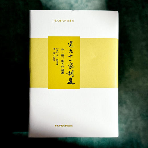 宋六十一家词选 外一种 清人历代词选丛刊 精装 商品图1