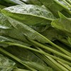 有机菠菜 250g/袋 商品缩略图4