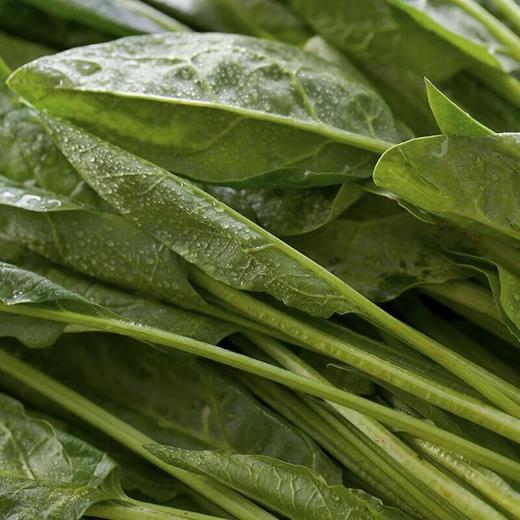 有机菠菜 250g/袋 商品图4