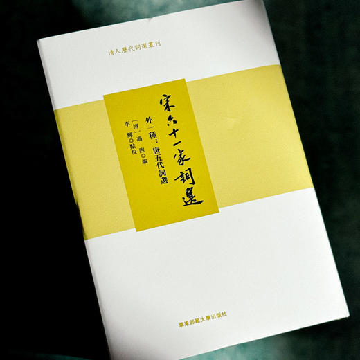 宋六十一家词选 外一种 清人历代词选丛刊 精装 商品图4