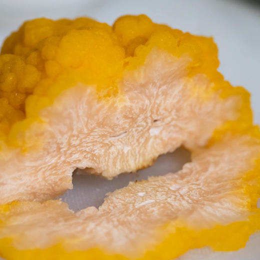 云南鲜金耳丨号称“菌中燕窝”，口感Q弹软糯，入口即化、金耳汤30分钟可出胶，无菌化栽培，净化水灌溉，⭐️京东快递 商品图3