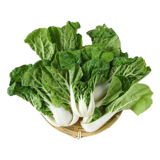 有机奶白菜 250g/袋 商品图0