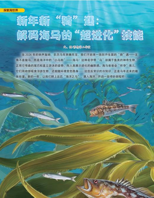 《百科探秘·海底世界》2026年12期征订（共10本）【赠随机过刊1本】 商品图13