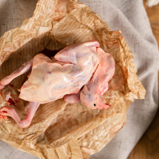 散养飞鸽| 五谷杂粮、原粮喂养 ，杜绝饲料/激素，每天放飞、回笼、全程散养放飞期间超2000个小时，肉质不腥。2只装/箱⭐️顺丰快递 商品图1