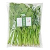 有机菠菜 250g/袋 商品缩略图1