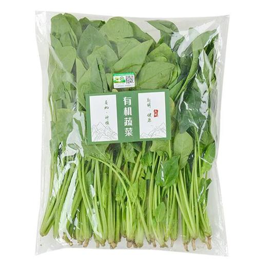 有机菠菜 250g/袋 商品图1