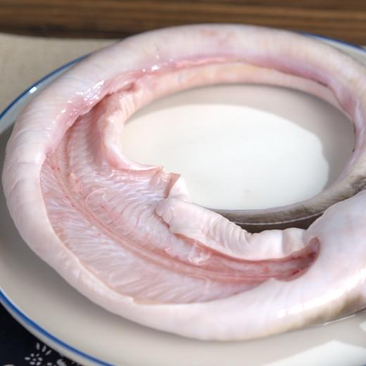 野生七星鳗鱼丨渤海湾捕捞，纯野生鳗鱼，富含蛋白质和优质脂肪，肉质紧实，味道鲜美，2条/4条⭐️顺丰快递 商品图1