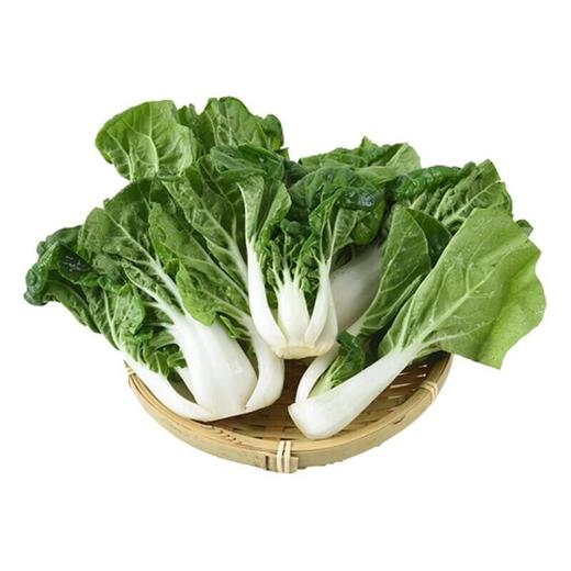 有机奶白菜 250g/袋 商品图3