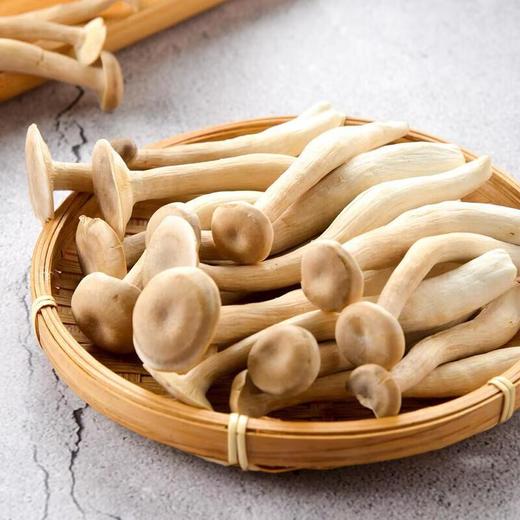 那云那南有机鹿茸菇 120g/份 商品图2