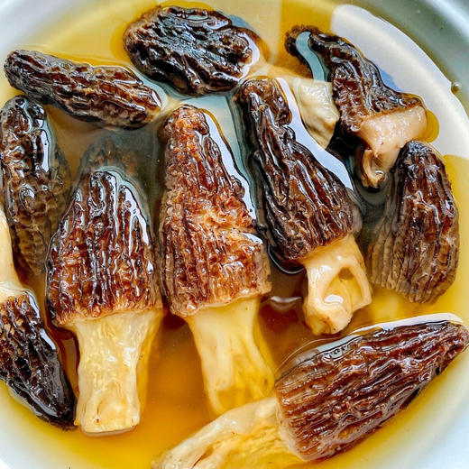 羊肚菌（干货）| 可以煲汤，红烧，炒、炖、蒸，烹饪后满屋飘鲜，⭐️中通/韵达随机 商品图2