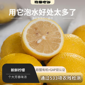 鲜柠檬丨个大新鲜不打蜡，已通过农残检测，欧盟有机认证GAP，⭐️中通快递