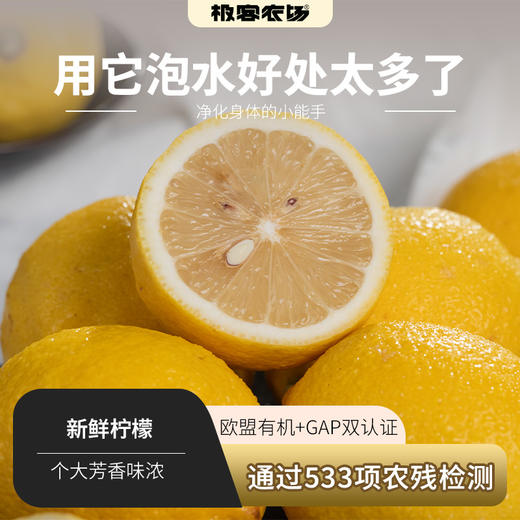鲜柠檬丨个大新鲜不打蜡，已通过农残检测，欧盟有机认证GAP，⭐️中通快递 商品图0