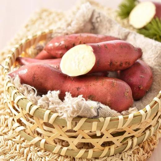 有机地瓜 400g/盒 商品图4