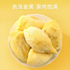 B1F【自采】冷冻榴莲肉 A果/B果 规格：800g/袋（取货日期：预计2月9日详见群内到货通知） 商品缩略图4