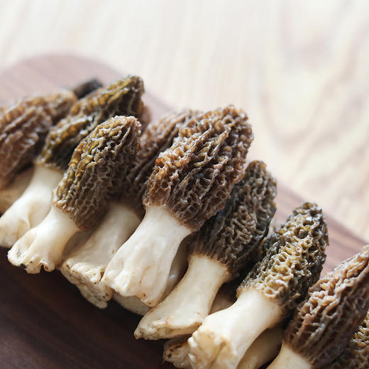 鲜羊肚菌 滋味鲜美 产地直发 商品图0