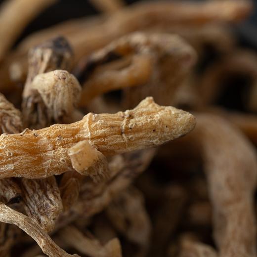 长白山药食同源食材系列 | 野生 wu味子、有机野生玉竹、有机林下参西洋参片、有机林下参人参片、有机党参，源自长白山的道地食材，自然晾晒，无硫熏。⭐️中通快递 商品图5