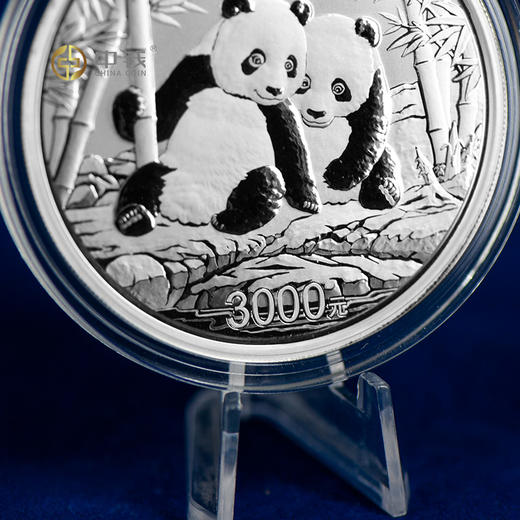 2026年熊猫铂金币  铂金猫3克30克100克 商品图6