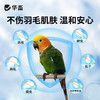 华畜鹦鹉驱虫喷雾鸟用体外杀虫剂除羽虱螨虫八哥玄凤虎皮专用药 商品缩略图2