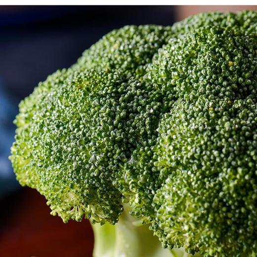 有机西兰花 350g/个 商品图3