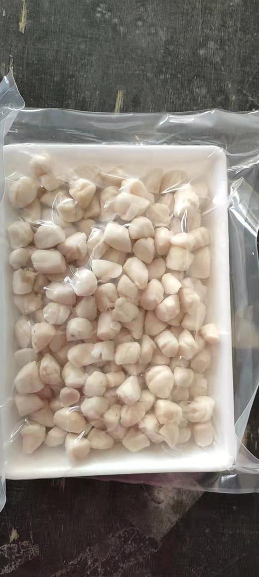 【4份包邮】新鲜瑶柱500g 精选的中大粒，不加一滴水单冻的，无添加剂；详情页有菜谱教程⭐️顺丰快递 商品图5