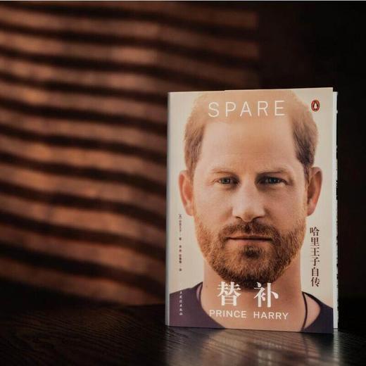 《替补：哈里王子自传》 商品图1