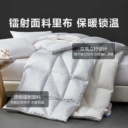 罗莱 智∙享航天分区蓄暖95白鹅绒 冬被 白色 商品图1