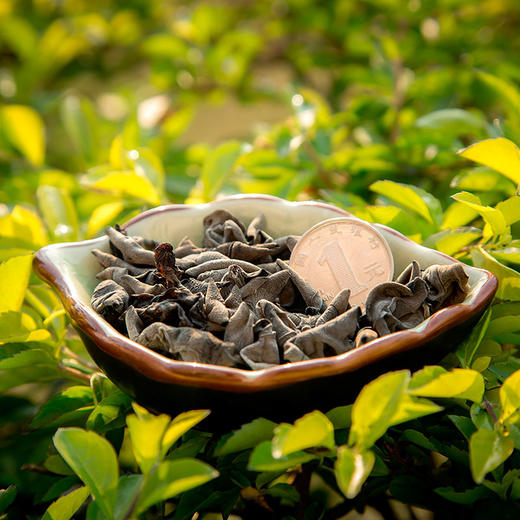 【新年有礼】林中宝黑木耳 袋装 200g 新年送礼佳品 商品图3