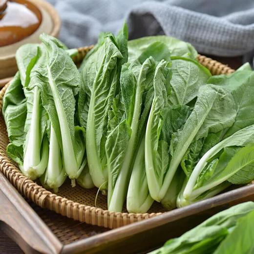 有机小白菜 250g/袋 商品图2