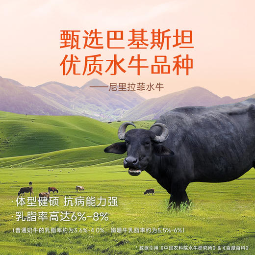 【年货礼盒】澳牧水牛纯牛奶200ml*10 商品图7