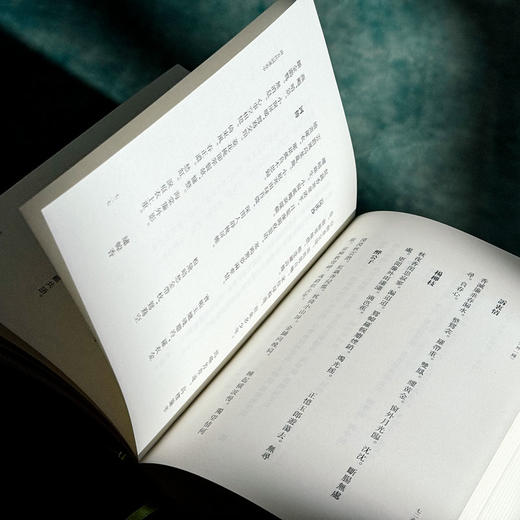 宋六十一家词选 外一种 清人历代词选丛刊 精装 商品图13