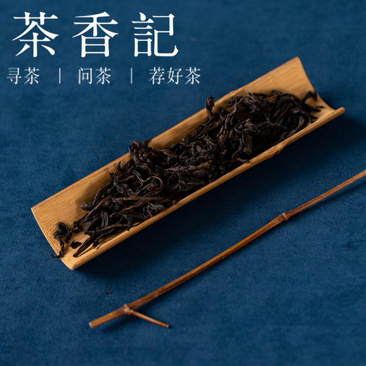 茶香记吴三地老丛水仙024乌龙茶武夷岩茶兰花香粽叶香丛韵清凉感 商品图3