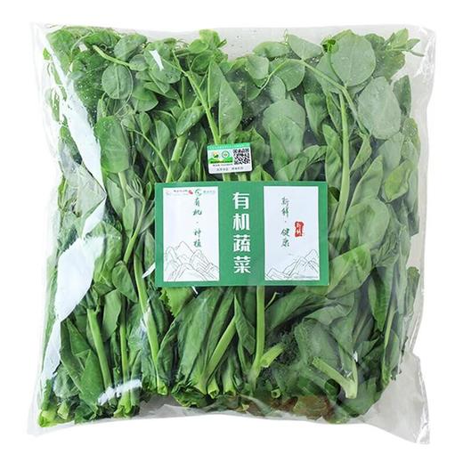 有机豌豆尖 200g/份 商品图4