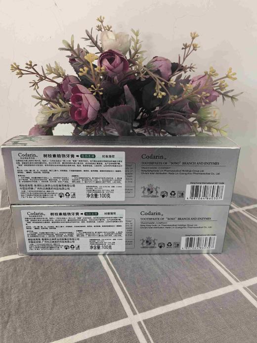 2支 科达琳树枝素植物牙膏亮白去渍树香薄荷100g效期26年11月 商品图1